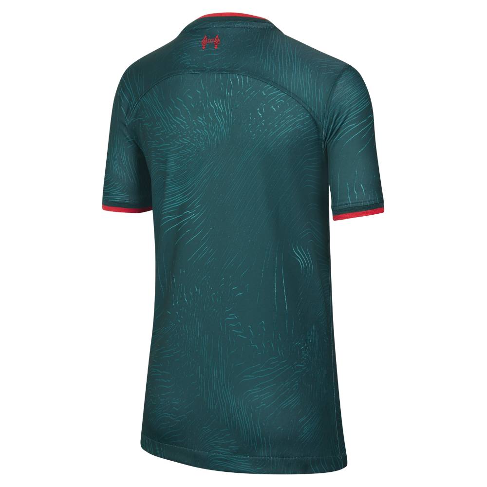 Nike Liverpool FC Fotballdrakt 22/23 3rd Barn