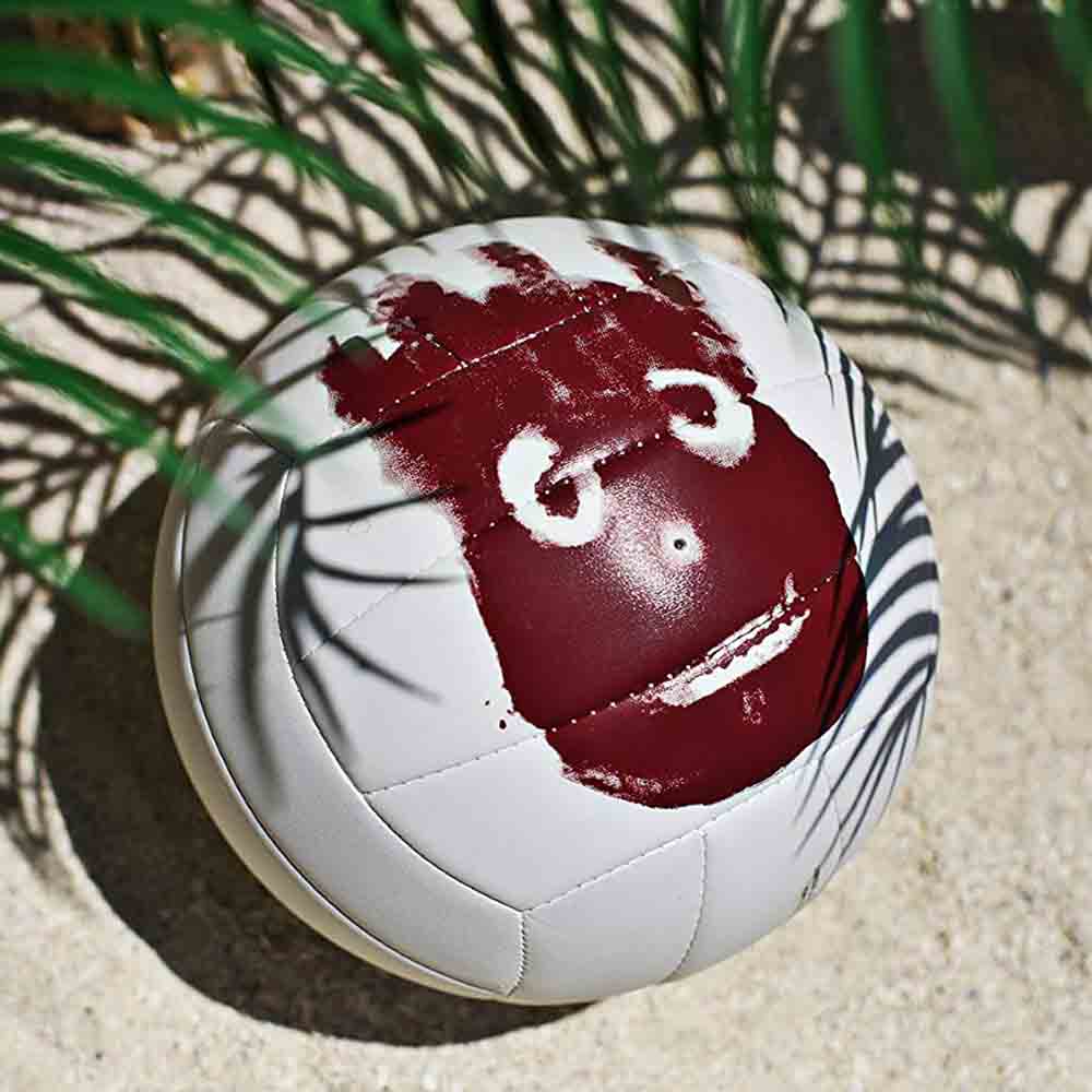 Wilson Cast Away Volleyball