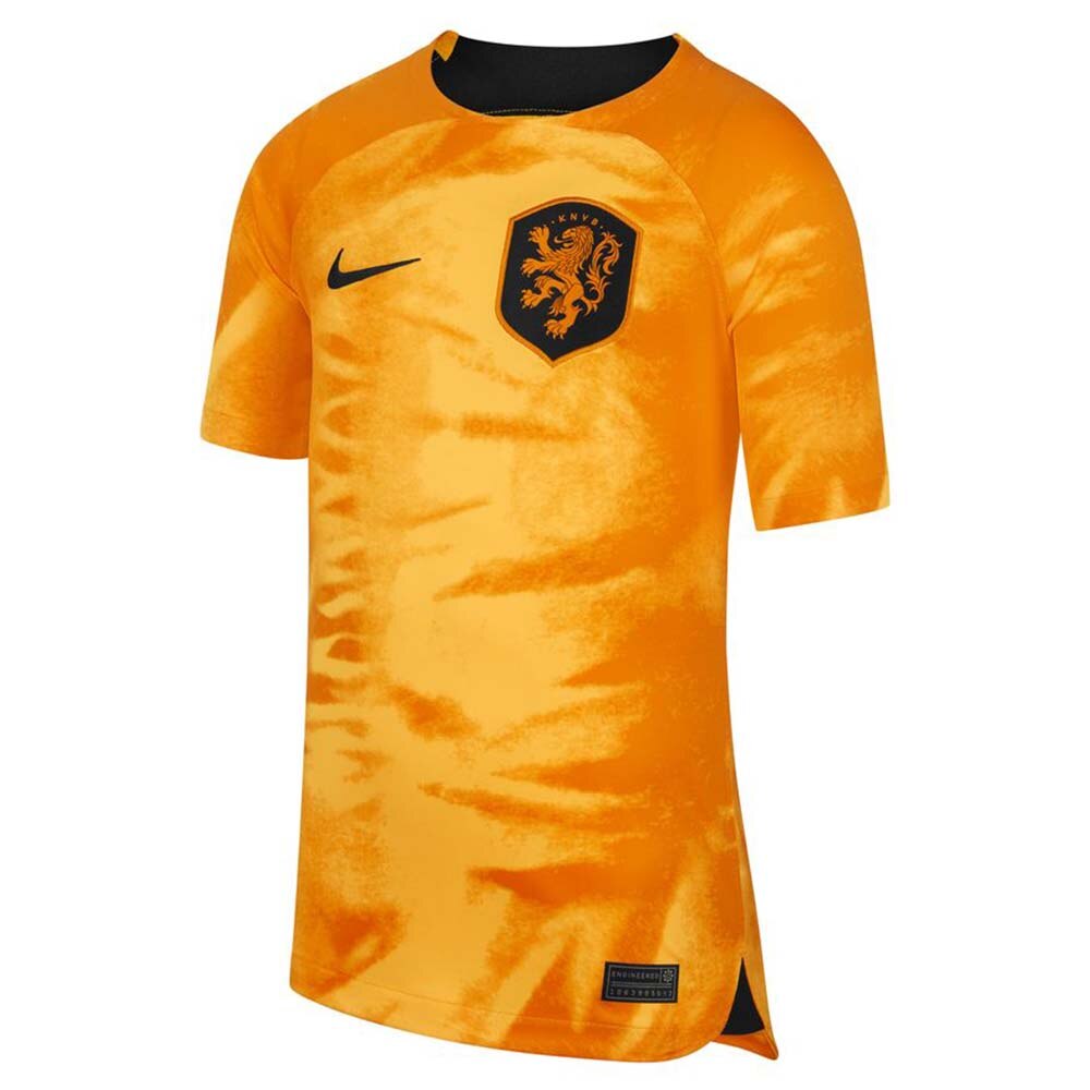 Nike Nederland Fotballdrakt VM 2022 Hjemme Barn