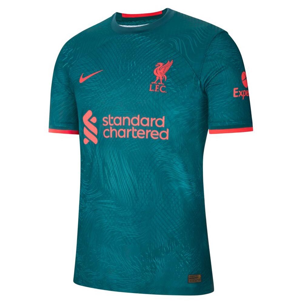 Nike Liverpool FC ADV Match Fotballdrakt 22/23 3rd