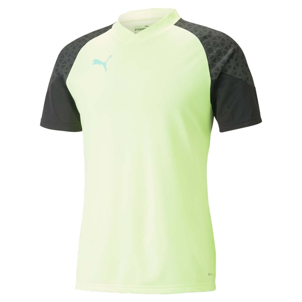 Puma IndividualCup Treningstrøye Pursuit