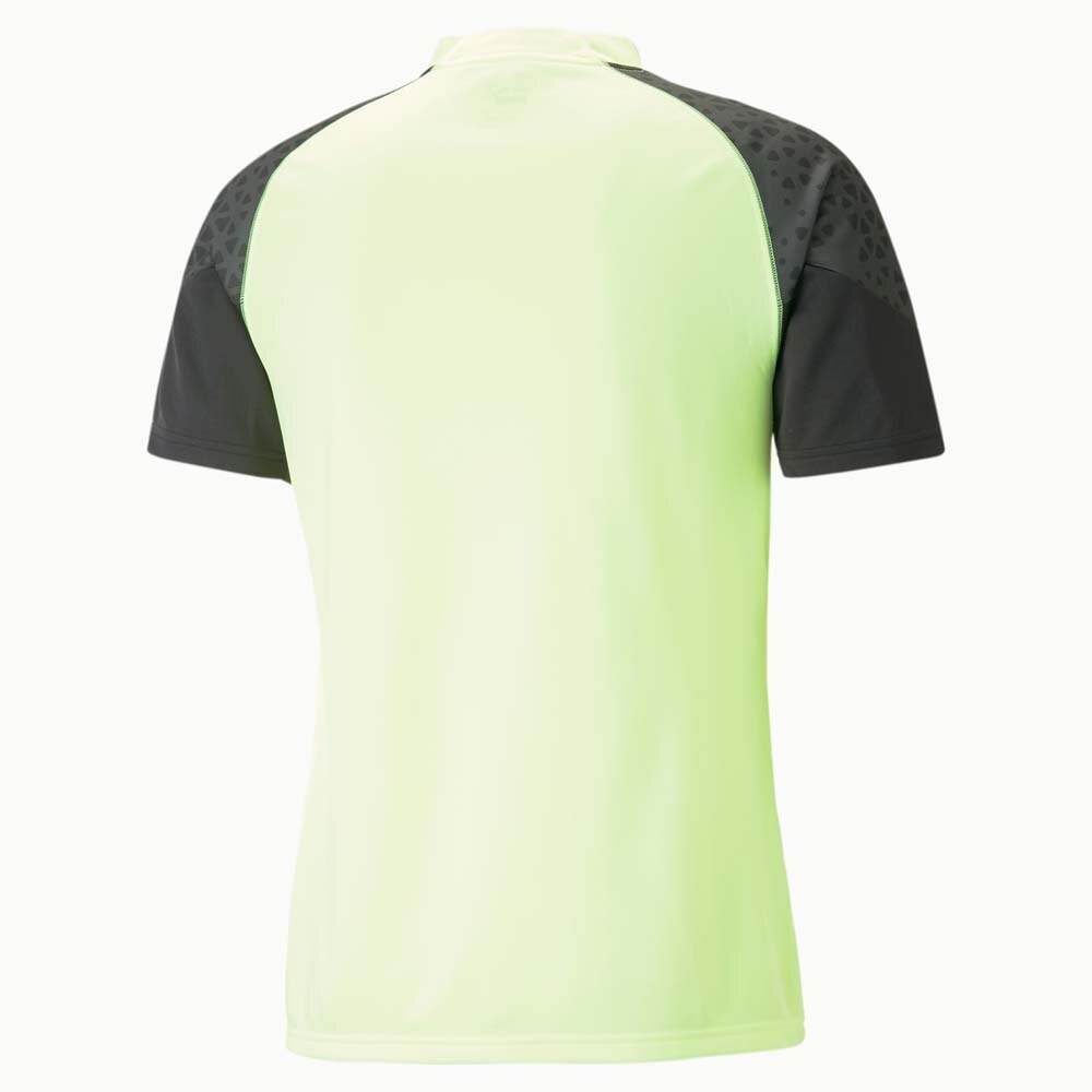 Puma IndividualCup Treningstrøye Pursuit