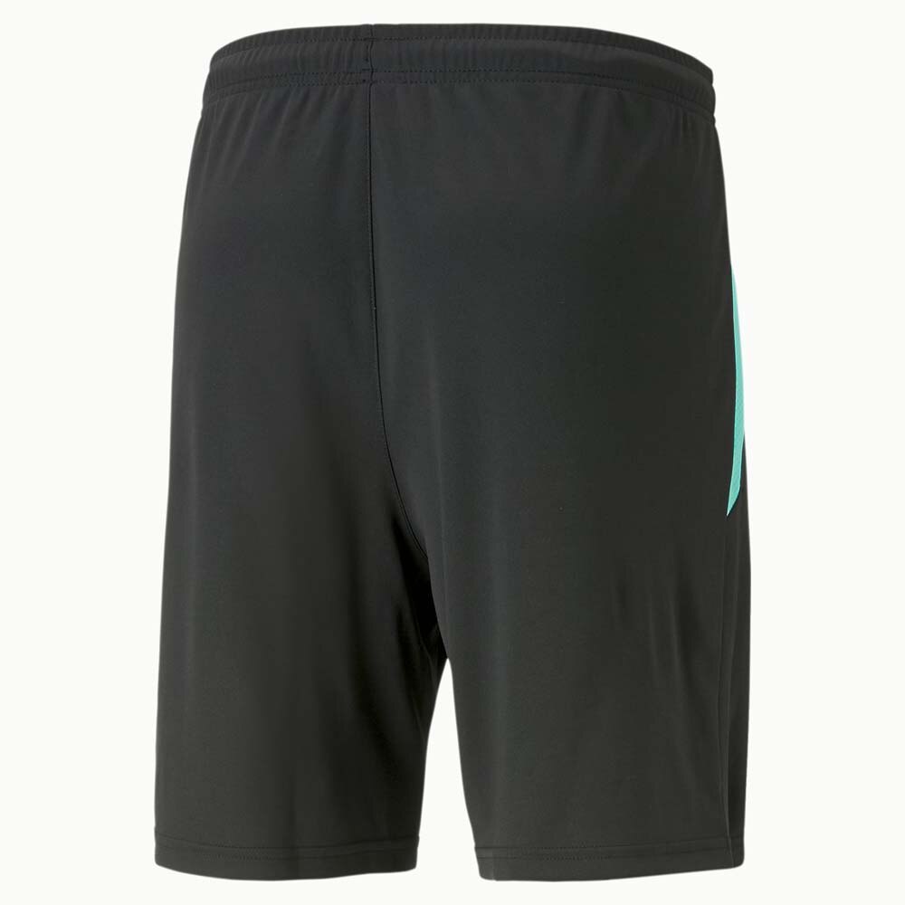 Puma TeamLiga 2 Treningsshorts Pursuit