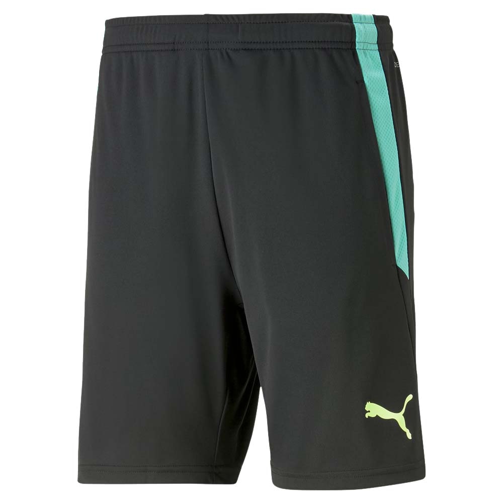 Puma TeamLiga 2 Treningsshorts Pursuit