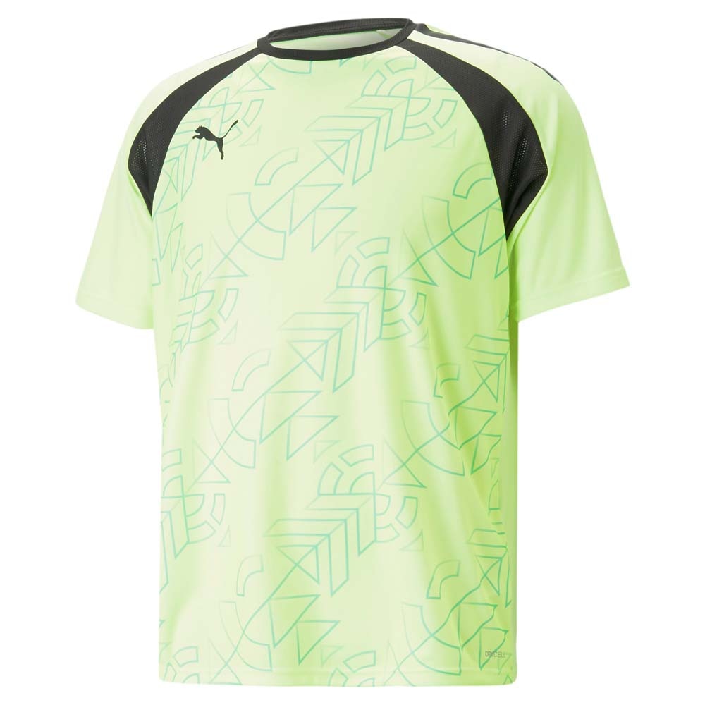 Puma Teamliga Graphic Treningstrøye Pursuit