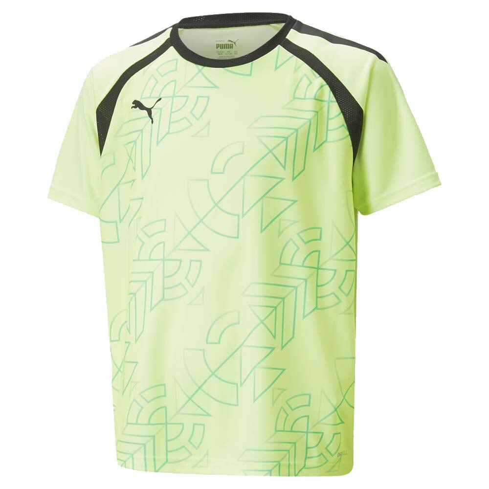 Puma Teamliga Graphic Treningstrøye Barn Pursuit