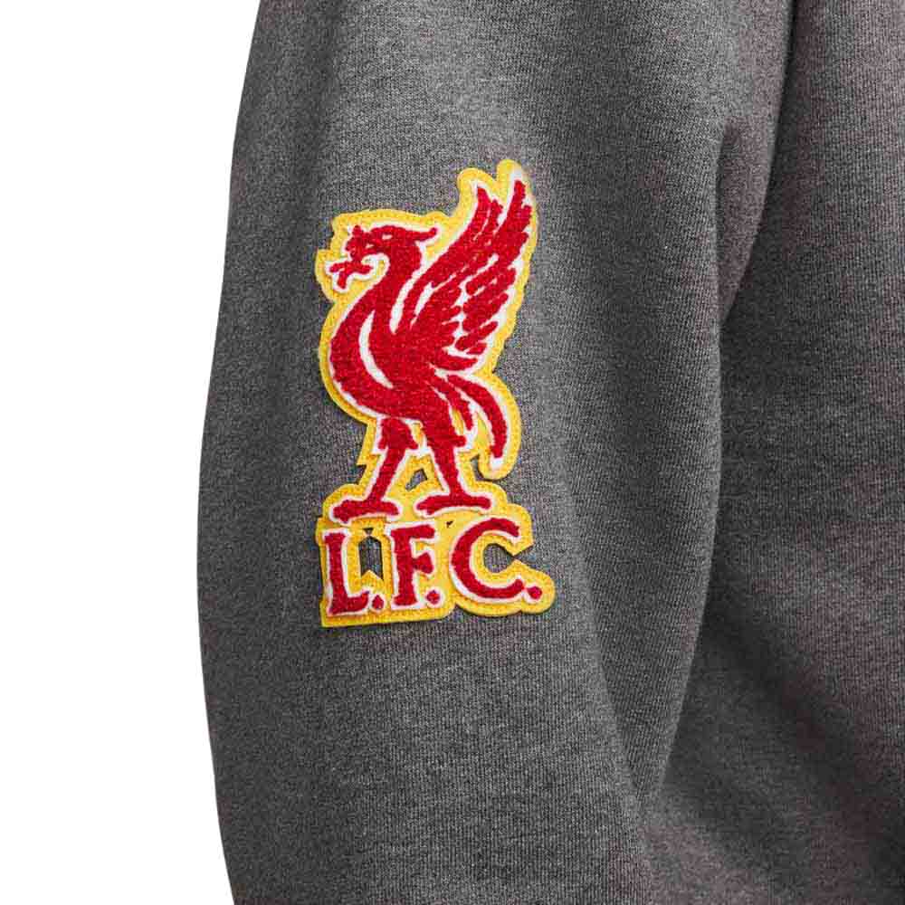 Nike Liverpool FC Solo Swoosh Genser