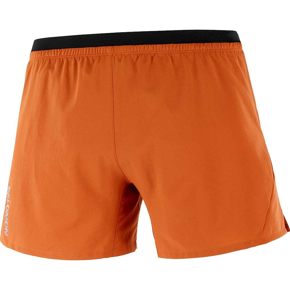 Salomon Cross 5' Løpeshorts Herre Brun/Oransje