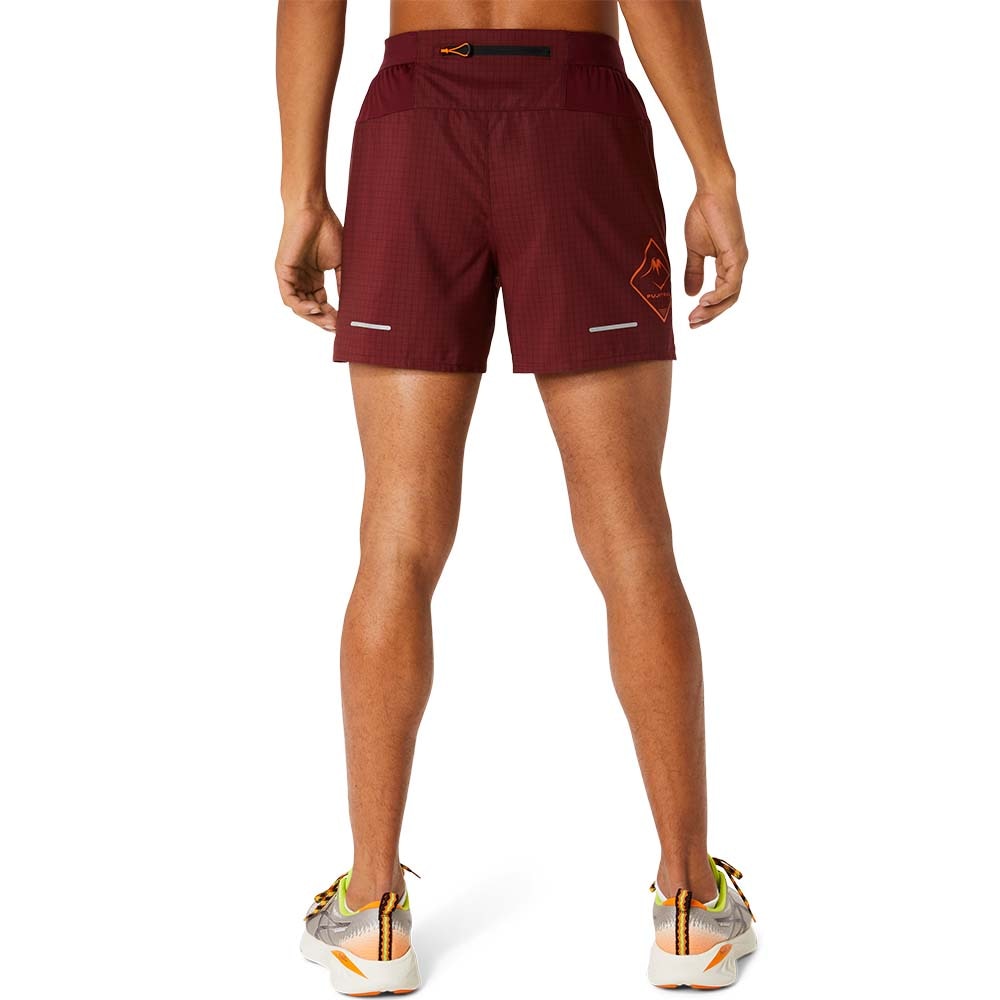 Asics FujiTrail Logo Shorts Herre Brun