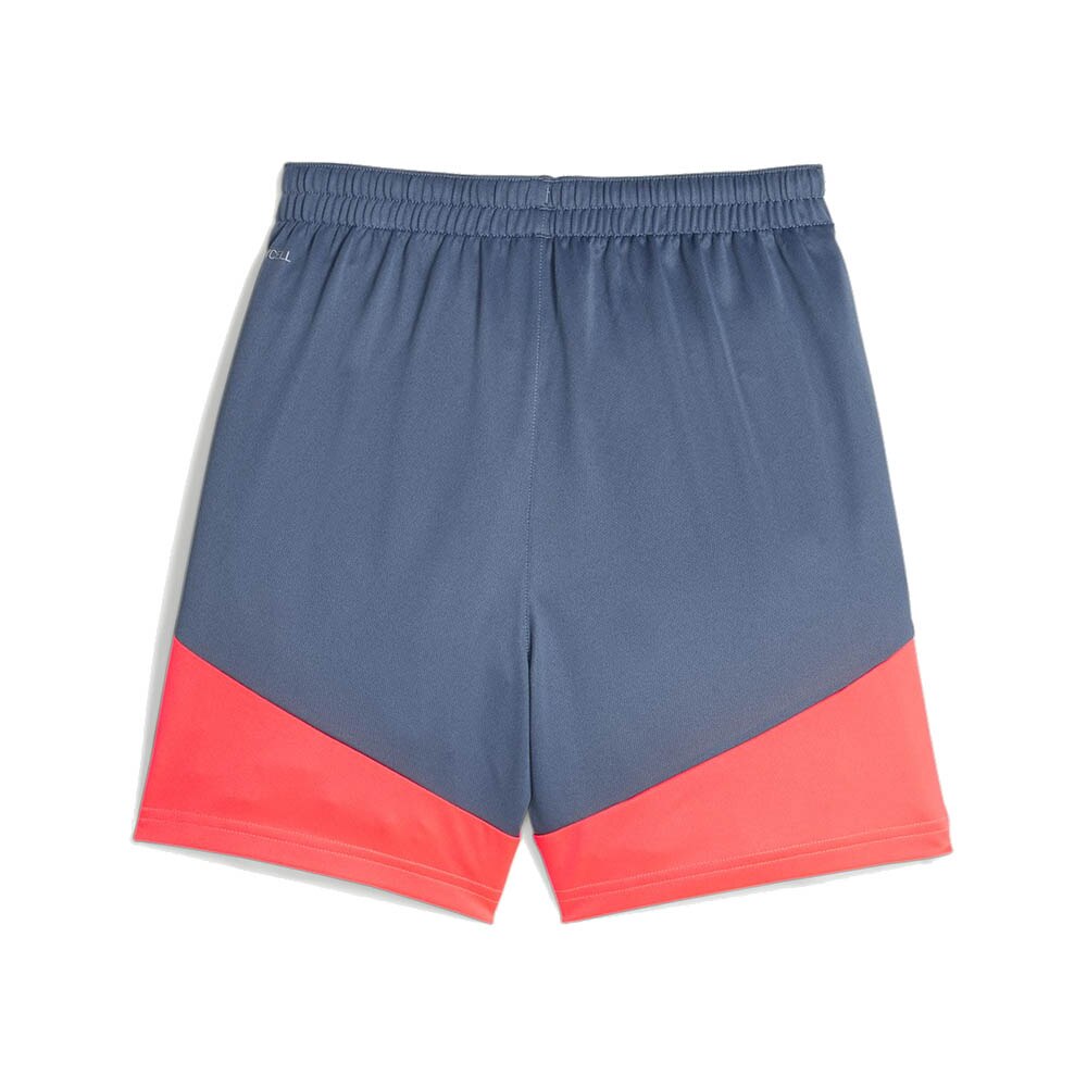 Puma IndividualCup Treningsshorts Barn Breakthrough