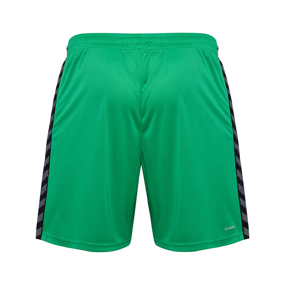 Hummel Lisleby Håndball Shorts Grønn/Sort