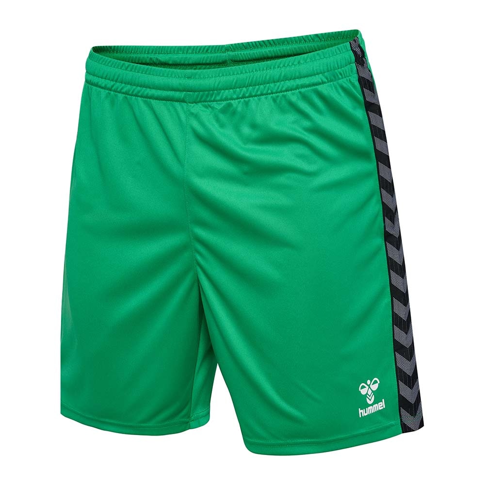 Hummel Lisleby Håndball Shorts Grønn/Sort