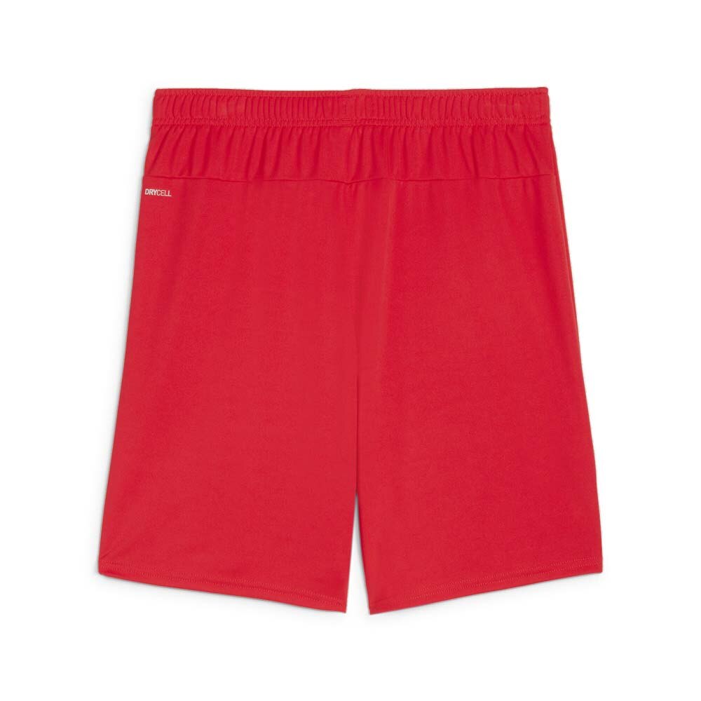 Puma Fredrikstad IBK Shorts Rød