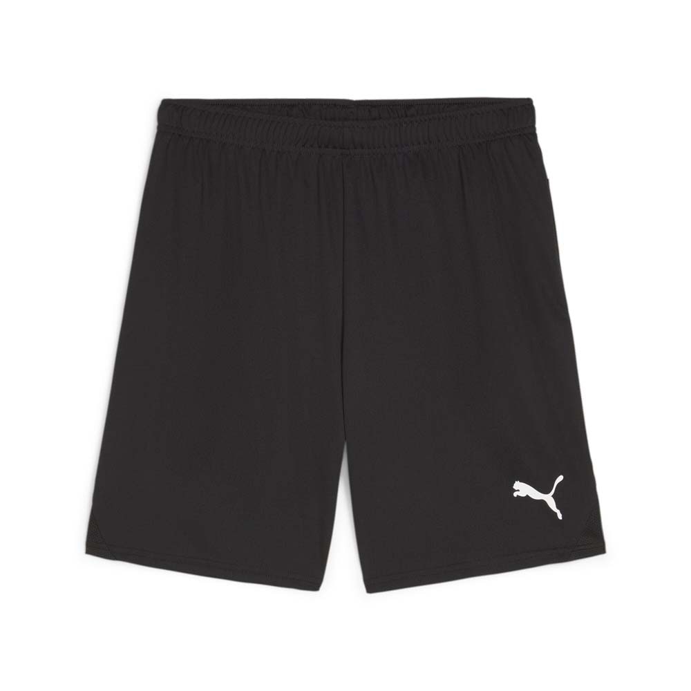 Puma teamGOAL Shorts Sort