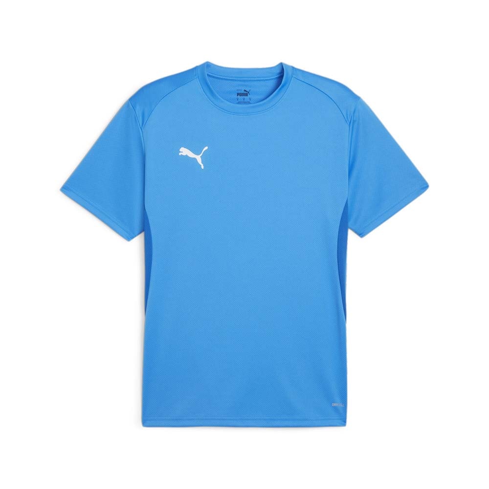 Puma teamGOAL Treningstrøye Blå