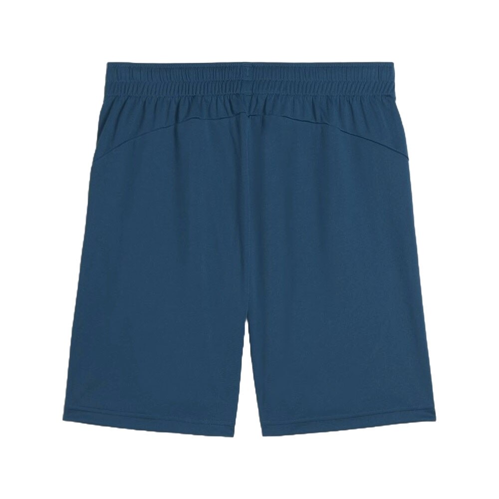 Puma IndividualFinal Treningsshorts Phenomenal