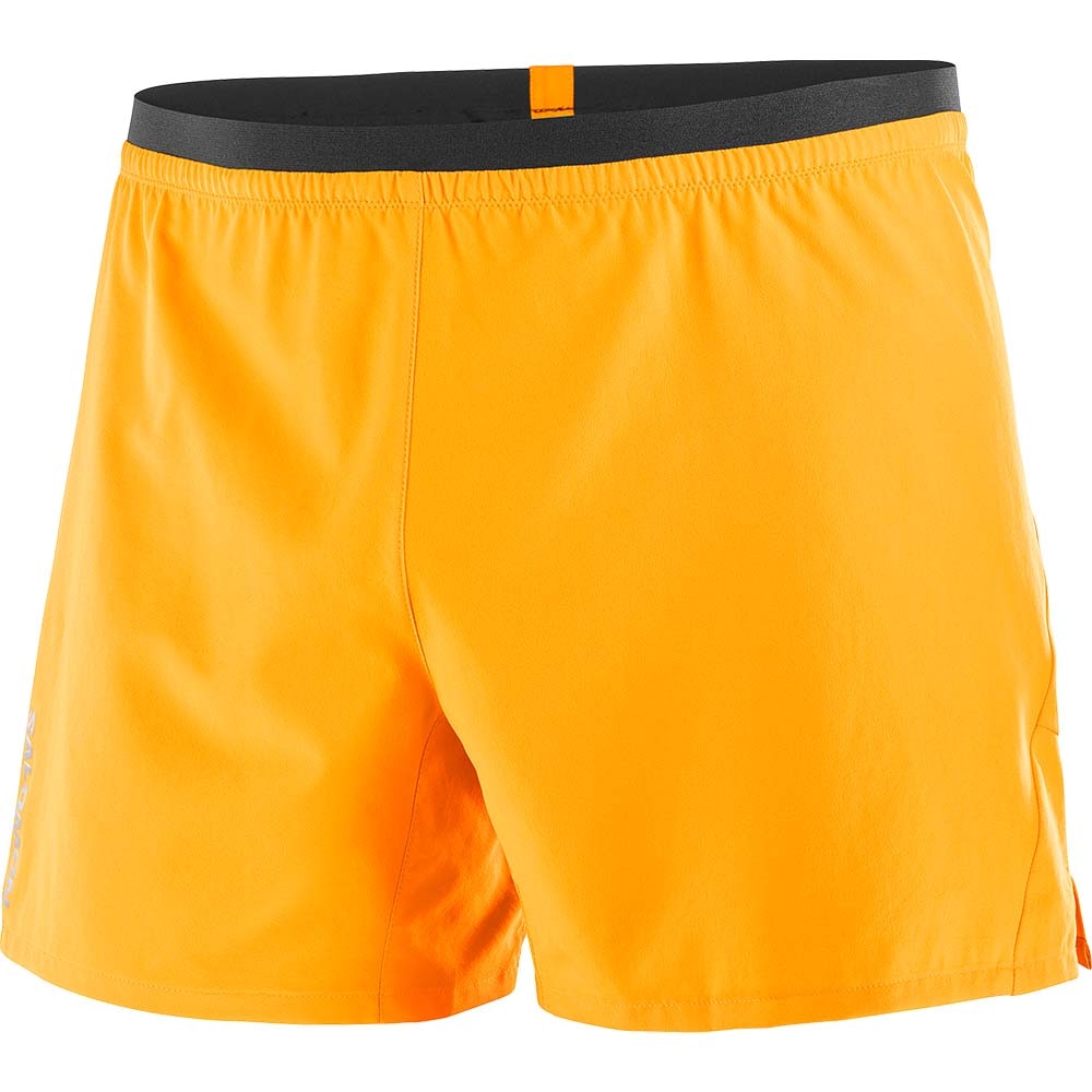 Salomon Cross 5inch Løpeshorts Herre Oransje