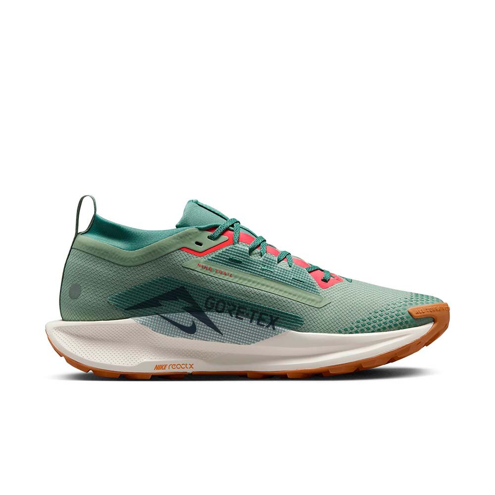 Nike Pegasus Trail 5 GORE-TEX Joggesko Herre Grønn/Rosa