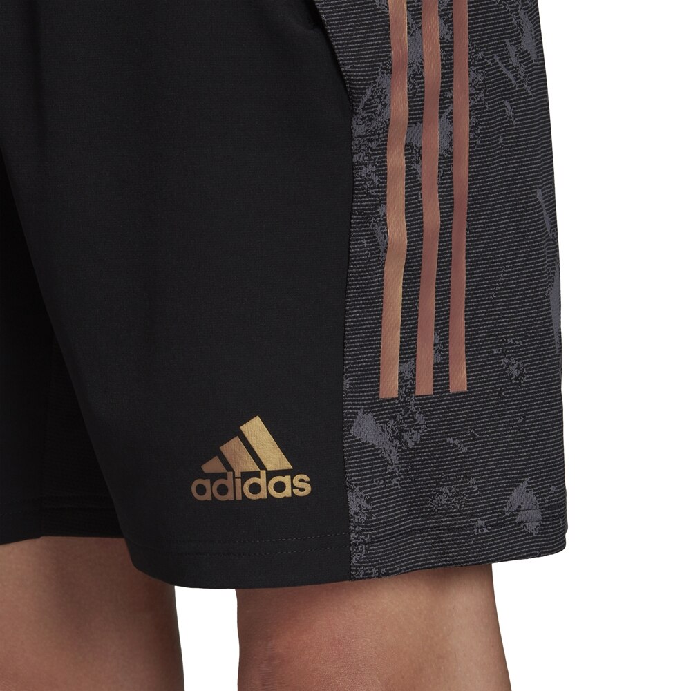 Adidas Condivo 20 Training Fotballshorts Sort/Gull